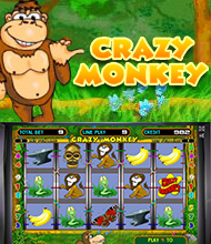 Crazy Monkey Crazy Monkey