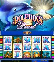 Dolphin`s Pearl Dolphin`s Pearl