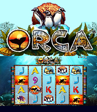 Orca Orca