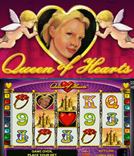 Queen of Hearts Flamenco Roses